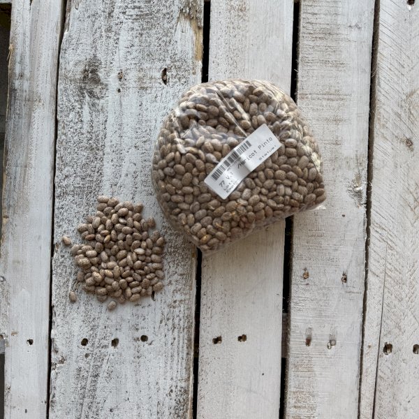 product name